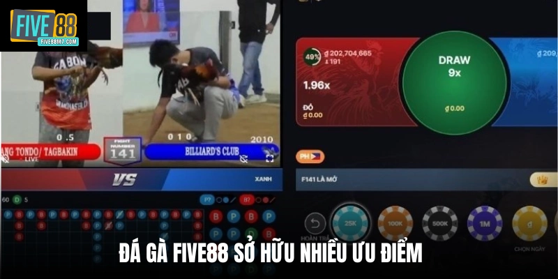 Đá gà Five88 sở hữu nhiều ưu điểm