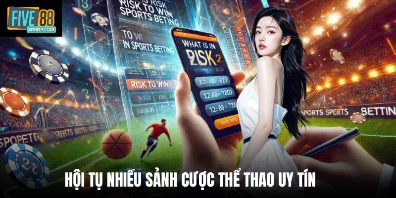 Hội tụ nhiều sảnh cược thể thao uy tín 